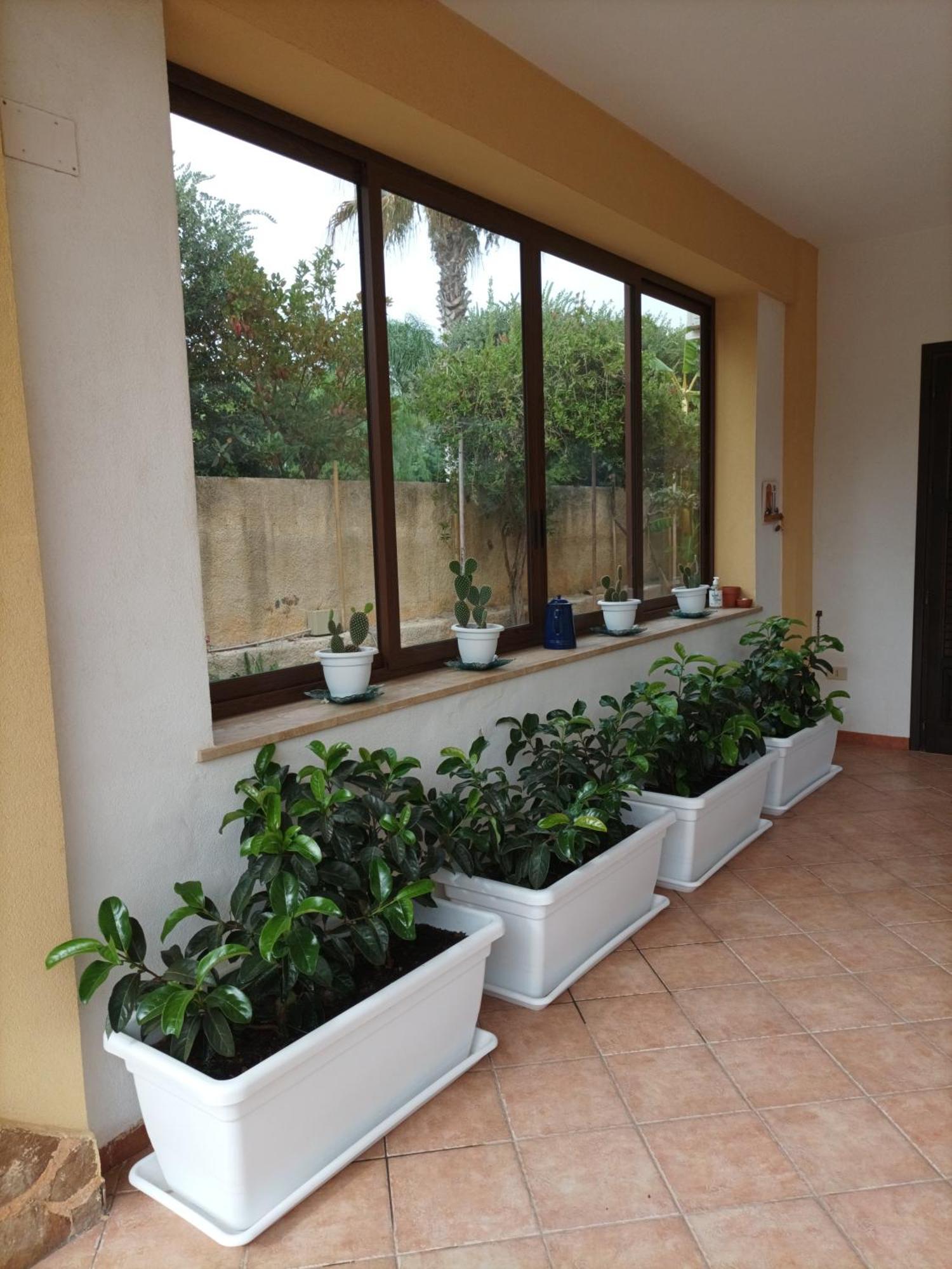 מרסאלה Acasammare Apartment מראה חיצוני תמונה